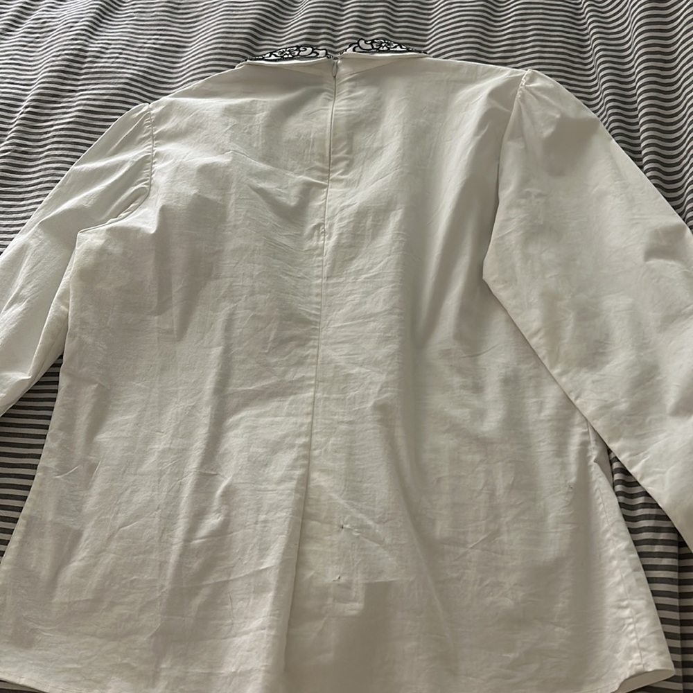 Collared Shirt - Picture 5 of 7